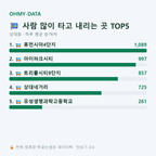 상대동 맛보기