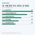 나운동 맛보기