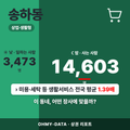 송하동 송하동_표지.png