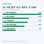 동대신동3가 맛보기