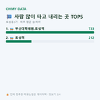 토성동3가 맛보기