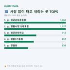 명륜3가 맛보기