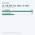 부평동3가 맛보기