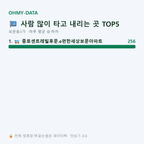 보문동3가 맛보기