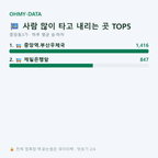 중앙동3가 맛보기