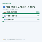 동소문동4가 맛보기
