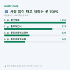 동인동4가 맛보기