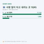 용산동4가 맛보기