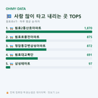 원효로4가 맛보기