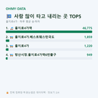 을지로4가 맛보기