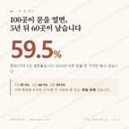 종로5가 맛보기 1