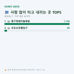 동광동5가 맛보기