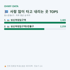 동소문동6가 맛보기