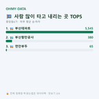 중앙동6가 맛보기