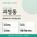 괴정동 괴정동_표지.png