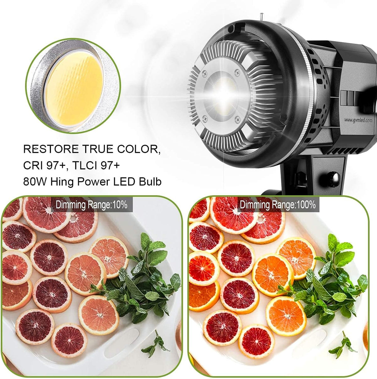 GVM 80W LED 사진 스튜디오 조명 키트 Bowen 마운트 5600K 3번 사진
