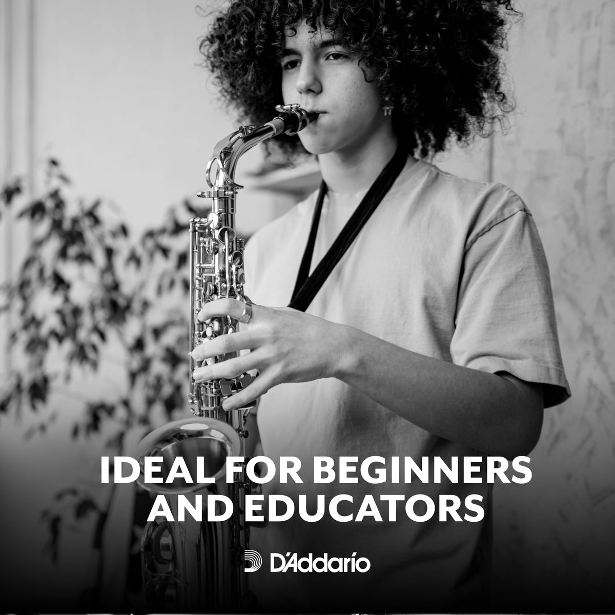 D'Addario 소프라노 색소폰 리드 Rico 전통 블랭크 USA산 2번 사진