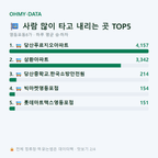 영등포동8가 맛보기