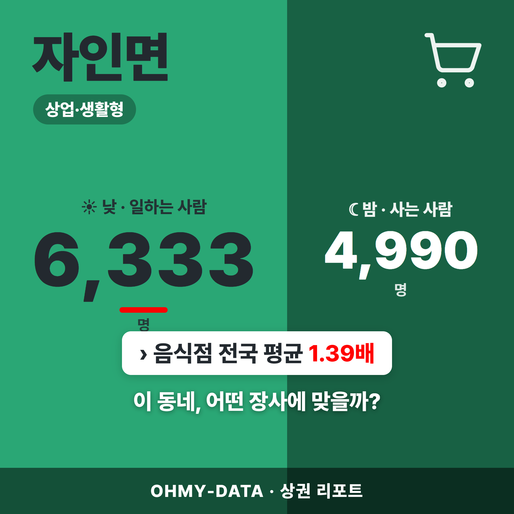 자인면 자인면_표지.png