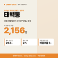 태백동 태백동_표지.png