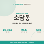 소담동 소담동_표지.png